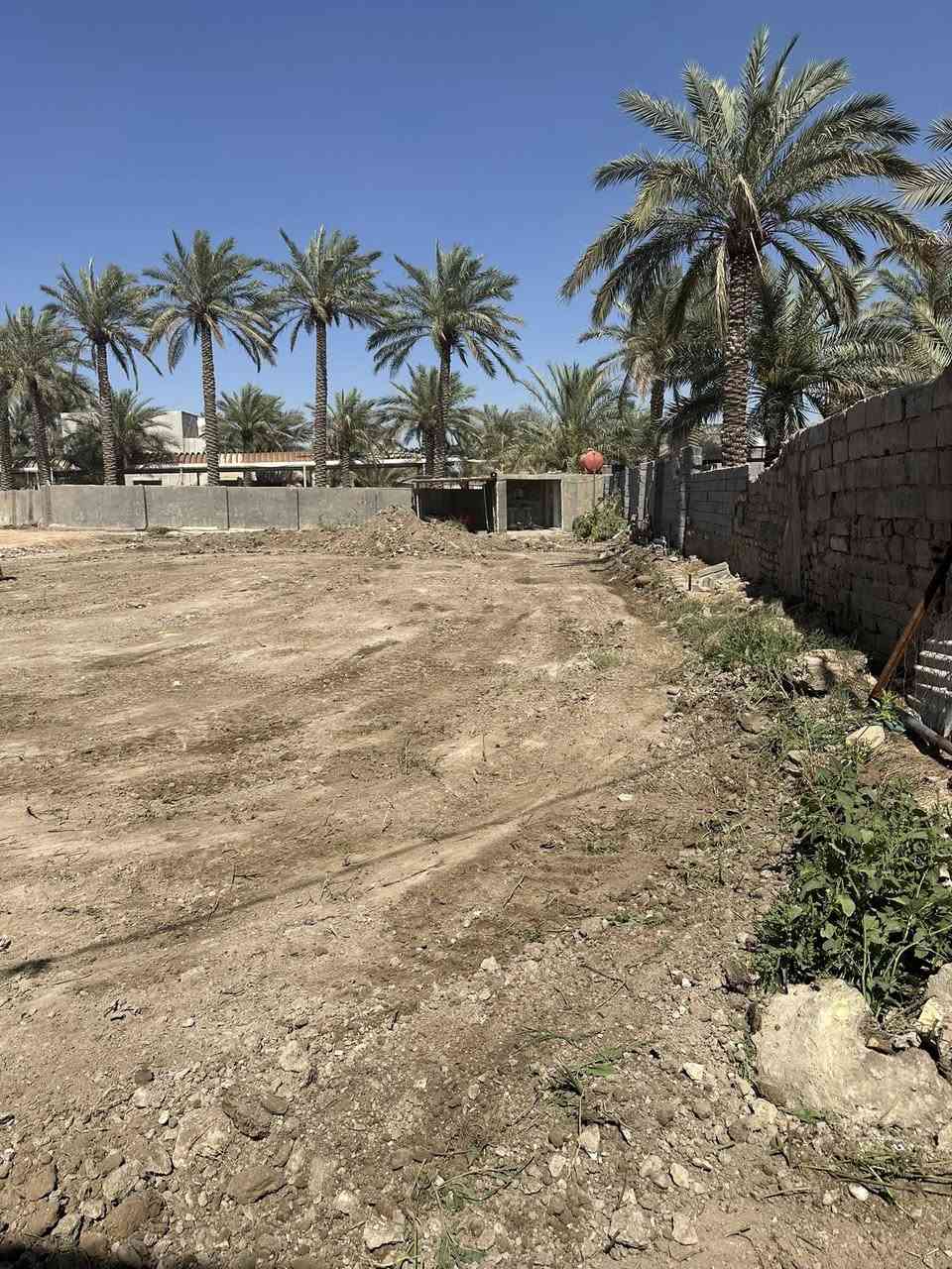 ارض زراعيه للبيع المساحه الكليه 675 او تقسيم 
تحتوي على بيت 150 متر 

شارع 6 متر  تبعد عن شارع البكرلي الرئيسي 50 متر فقط وموضح بالفديو. 
الموقع قرب جامع سلمان المحمدي 

للاستفسار اكثر الاتصال على الرقم ***********
