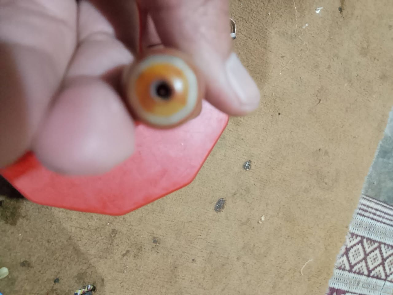 0327 5105447


**إذا كنت صاحب هذا الإعلان وتريد حذفه لأي سبب، رجاءا أرسل رسالة إلى الدعم الفني**