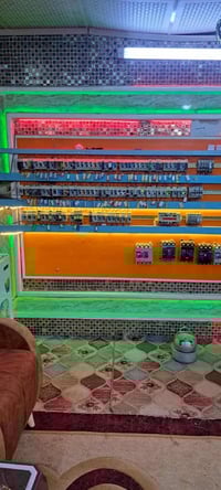 كوفه خلف الريبال • ٣٠٠م • مع مولدتين