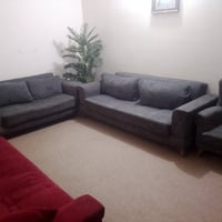 تخم تركي • نضيف • ١٠٠/١٠٠