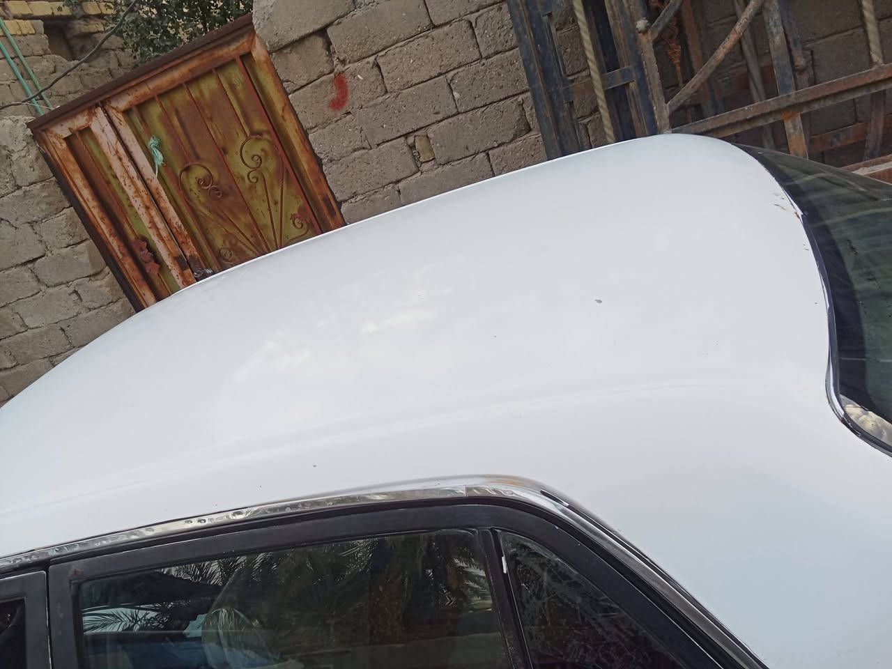 سلام وعليكم راس ثور مامكصوص مكينه اثنين ونص ادوات اريد اروس بصولي ونطي فرق البصرة  قضاء المدينه بيع 20 ***********
