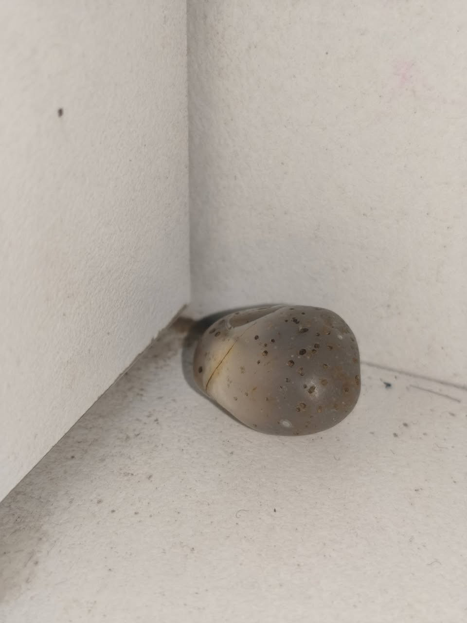 السلام عليكم متاح خام سليماني رصاصي  عطف  قديم


**إذا كنت صاحب هذا الإعلان وتريد حذفه لأي سبب، رجاءا أرسل رسالة إلى الدعم الفني**