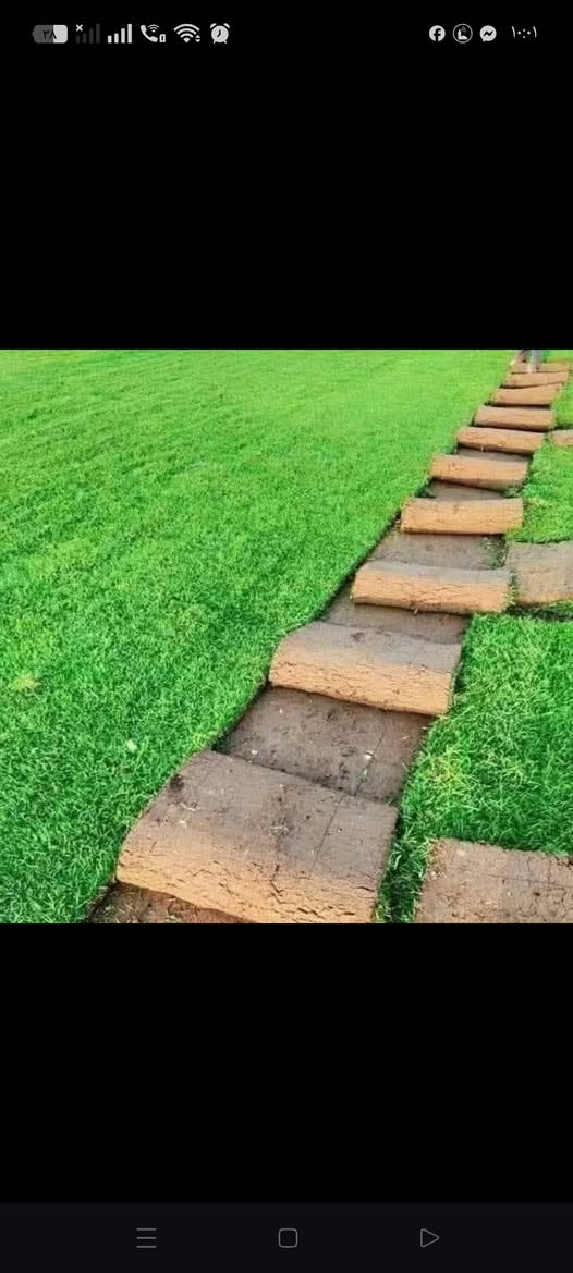 يوجد انواع ثيل الطبيعي اتصل ودلل.


**إذا كنت صاحب هذا الإعلان وتريد حذفه لأي سبب، رجاءا أرسل رسالة إلى الدعم الفني**