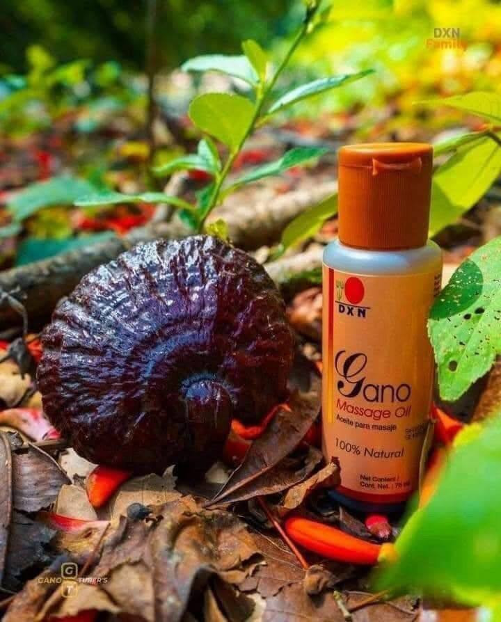 ✨ استعيدي حيوية شعرك مع الطبيعة ✨
​هل تعانين من تساقط الشعر، القشرة، أو التقصف؟ مجموعة "الجانوزي" من شركة DXN العالمية هي الحل الطبيعي المتكامل الذي يبحث عنه شعرك.
​1️⃣ شامبو جانوزي (Ganozhi Shampoo):
​تغذية عميقة: غني بخلاصة فطر الجانوديرما وفيتامين B5 لتقوية البصيلات.
​إيقاف التساقط: يعمل على تنشيط فروة الرأس وتقليل التساقط بشكل ملحوظ.
​وداعاً للقشرة: ينظف الفروة بعمق ويعالج الحكة والحساسية بفعالية.
​نعومة فائقة: يمنح شعرك لمعاناً طبيعياً وملمساً حريرياً.
​2️⃣ زيت جانو (Gano Massage Oil):
​تطويل وتكثيف: يحفز نمو الشعر ويزيد من كثافته عند التدليك المستمر.
​علاج التقصف: يرمم الأطراف المجهدة والمتعبة ويحميها من التكسر.
​متعدد الفوائد: مثالي أيضاً لمساج الجسم وتخفيف آلام المفاصل وترطيب البشرة.
​🔥 عرض خاص ولمدة محدودة في العراق 🔥
​الآن، يمكنك الحصول على المجموعة الكاملة (الشامبو + الزيت) بخصم مميز جداً:
​💰 السعر: 37,000 دينار عراقي فقط!
🚚 التوصيل: مجاني لجميع محافظات العراق (من الشمال إلى الجنوب).
​📥 للطلب والاستفسار:
​لا تضيع الفرصة، فالكمية محدودة جداً!
​تواصل معنا الآن عبر الرسائل الخاصة (الدايركت).
​أو اترك تعليقاً وسنقوم بالرد عليك فوراً.
​سارع بالحجز الآن.. ودلل شعرك بما يستحق! 🌿✨
التواصل على الواتساب تيليجرام ***********
