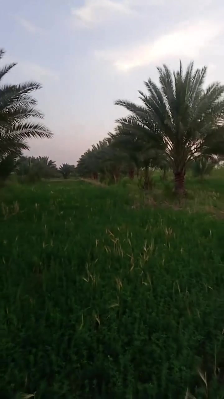 ✅️7دوانم الواجهة 100 متر 
وجه على شارع سبيس  عرض 10 متر 

✅️متوفرة كافة الخدمات

تبليط، ماء، كهرباء، مدارس 

طابو  زراعي سند 25 

✅️الموقع شارع نجف كربلاء  عمود 1141 - منطقة

الجذار
 تبعد كيلو عن الشارع العام 

📞 إتصل //***********
***********
