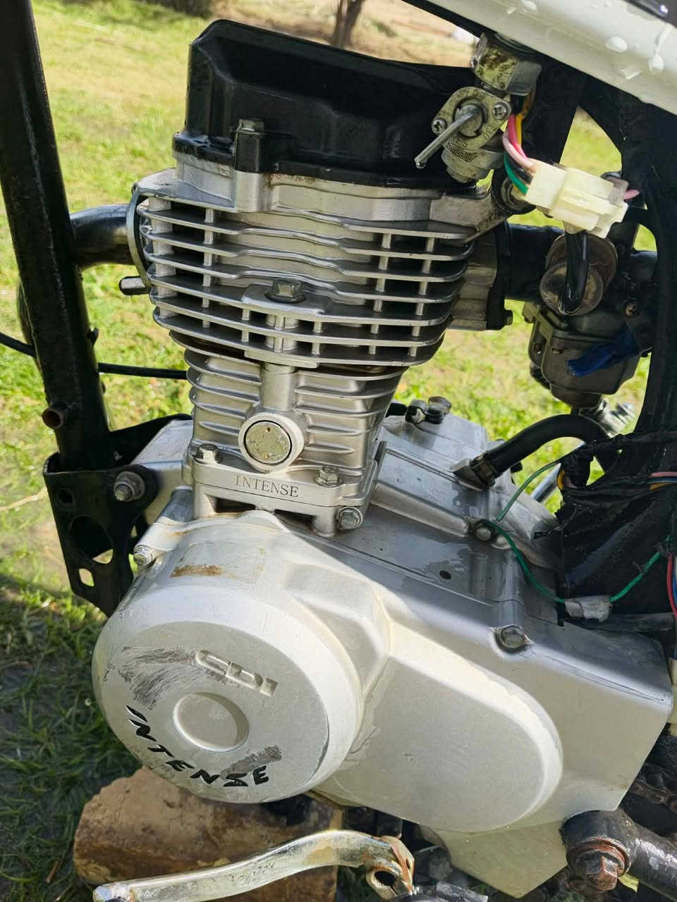 للبيع مكينه ٢٤ وخرضه ٢٦ وشاصي١٣ ارشه كلك دوانيه
دراجه نضيفه ***********
