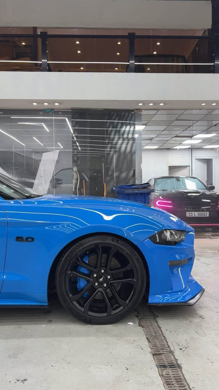 موستنك GT 2022 بريميوم تراك بكج فولل

سلام عليكم فورد موستنك GT 2022 بريميوم فول دجتال اكتف اكزوز اعلى شي يجي بل موستنك 
 
مكينه (8سلندر) 5000cc
كير اوتو (10)نمر
ماشيه(46)كيلو متر وليس ميل

سياره كير مكينه اكسل كاردن صدرها بحالة الوكالة برغي ما مفتوح بيها
سياره من دخلت حد الان مسويلها ادامة وصيانه كامله بشركة  فورد القاصد دهن  وفلتر دهن و فلاتر شوته و تبريد كلة وكالة اصلي
 دشبولها ماكو اي كلوب معتلك كله صافي 

نجي على مواصفات فول 1/1
١- تشغيل عن بعد
٢- شاشة كبيرة sync 3 كار بلي
٣-اكتف اكزوز حسب المود تفتح بوابات(نورمال-سبورت-تراك)
٤-فجوج بريمبو 6بستم
٥-عداد ديجتال يتغير ثيم حسب المود
٦-دمام صوت بل صندوك وكالة
٧-تحديد مسار
٨-رادار امامي 
٩-رادار جانبي(نقطة عمياء)
١٠-رادار خلفي 
١١-حساسات خلفيه
١٢-كامرة خلفيه
١٣-كشنات كهرباء(٢) جلد
١٤-كشنات تدفئه وتبريد 
١٥-ستيرن تدفئه هيتر
١٦-خمس وضعيات قياده(نورمال-سبورت-تراك)
١٧-ترحيب بل مرايه
١٨-هيترات بل مرايه
١٩-كشنات خزن ميمور 3وضعيات 
٢٠-سستم سماعات 
٢١-لايت زنون ابيض من وكالة
٢٢-شعار الموستنك ضوئي من الابواب بلادي 
٢٣-شعار موستنك ضوئي متغير بل دوسات بلادي
٢٤-كيجات تراك بكج (اويل برشر) و( فاكيوم) بل دشبول
٢٥-كشنات جلد 

اضافات عليها 
١-هدرز x fors ١٥ورقه
٢-شوته jlt ب٧٥٠ دولار
٣- ولف حماوه مشميتو ١٢٠ دولار
٤-اكس بايب+ اج بايب 
٥-بك لايت سموك  ١٠٠٠دولار
٦-شبابج امامي بل دعاميه (RTR) ١٢٠دولار 
٧-لحية ار تي ار ١٠٠ دولار
٨-دوسات جانبيه ام زعنفه ١٠٠دولار
٩-سكوب جامه خلفيه ٨٠دولار
١٠-تغطيس للدواخل ١٠٠دولار
١١-شفتات ستيرن ٣٥الف
١٢-لد متغير بل دواخل دشبول بيبان ارضيات ٢٠٠دولار عن طريق تلفون ٨٤لون
١٣-وشم قماره وتضليل ب١٠٠دولار
١٤-صبغ فجوج ولحاية ويل ١٢٠دولار صبغ حراري اصلي
١٥- تفريغ اكزوز ودوان بايب واكس بايب و لحيم اصلي يم علي وادي اركون من طول لل طول استيل حتى مقاومة للصداء وبوري اعرض ٥٠٠دولار صوته مخيف
١٦-برمجة مصطفى ايكل برمجة سيفتي قطرة دوانز ماكو تستقبل بانزين محسن ٣٠٠دولار 
١٧-شفقه خلفيه على جامه خلفيه ١٠٠دولار
١٨-لويات تهبيط نصبه سياره ٢٠٠ دولار
١٩-كفرات مري باتمان
٢٠- اضافة لحية ار تي ار ٩٠ الف
٢١-لد سموك بل دعاميه خلفية جانبي ب٥٠ دولار
٢٢- لد سموك بل دفيوزر خلفي ب٩٠دولار 
٢٣- بولش ونانو سيراميك يم NVN ب٢٥٠ دولار

سياره ربع دينار ما بيها مصرف كامله من اي نقص 

حادثها جاملغ. خلفي. وقبق الجنطة 

مكانهه بغداد البلديات 
*********** بغداد, العراق
