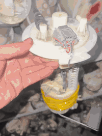 فقط جوملة سعر لاعبده  سني هندي  شرط فحص
توصيل كول محافذاد ***********—-***********
