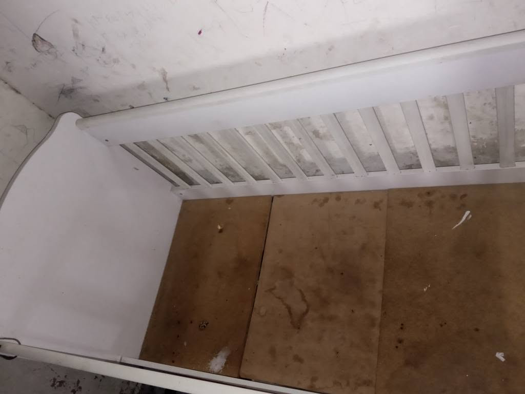 حي العسكري الطاقه السعر داخل صور كربلاء, العراق


**إذا كنت صاحب هذا الإعلان وتريد حذفه لأي سبب، رجاءا أرسل رسالة إلى الدعم الفني**
