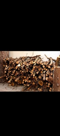 الي عنده بستان تنظيف قطع الأشجار اليابسه اخذ الخشب وانظف بستان  ٠٧٧٤٠٣...