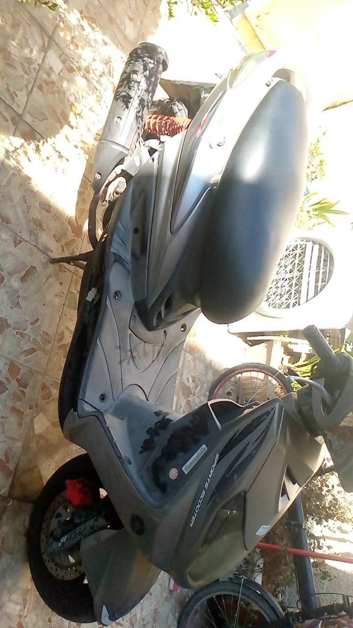 السلام عليكم  سكنس فحل نوزل للبيع  باقي تفاصيل خاص *********** واتساب فقط 📍
