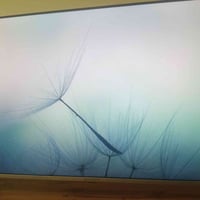 بلازما • ٤٣ بوصة • جديد