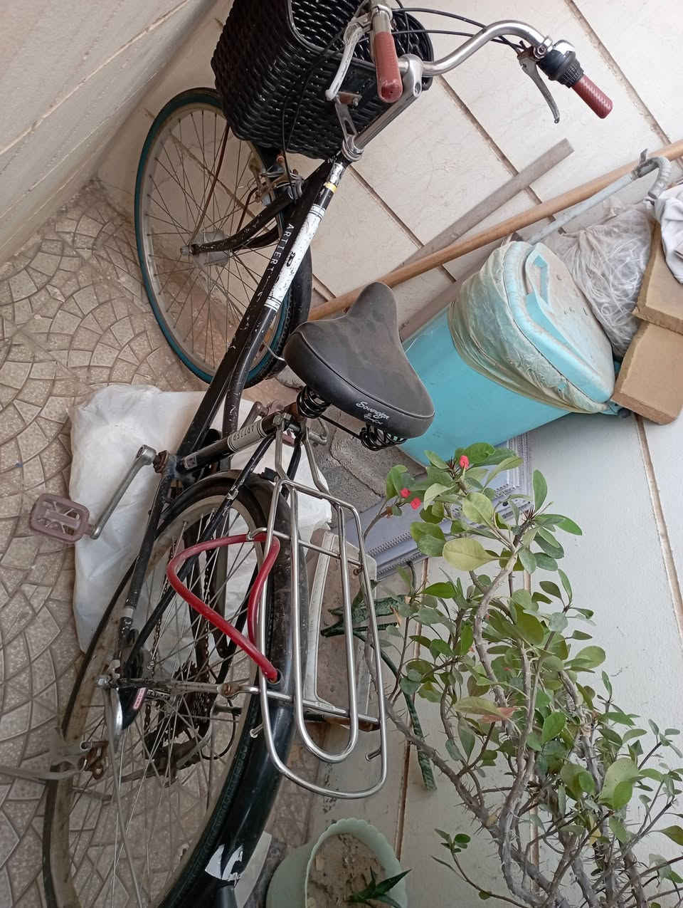بايسكل البيع حجم 26 اي عطل  مابي بس بنجر واهيه  السعر 40 مستعجل على  بيعته


**إذا كنت صاحب هذا الإعلان وتريد حذفه لأي سبب، رجاءا أرسل رسالة إلى الدعم الفني**