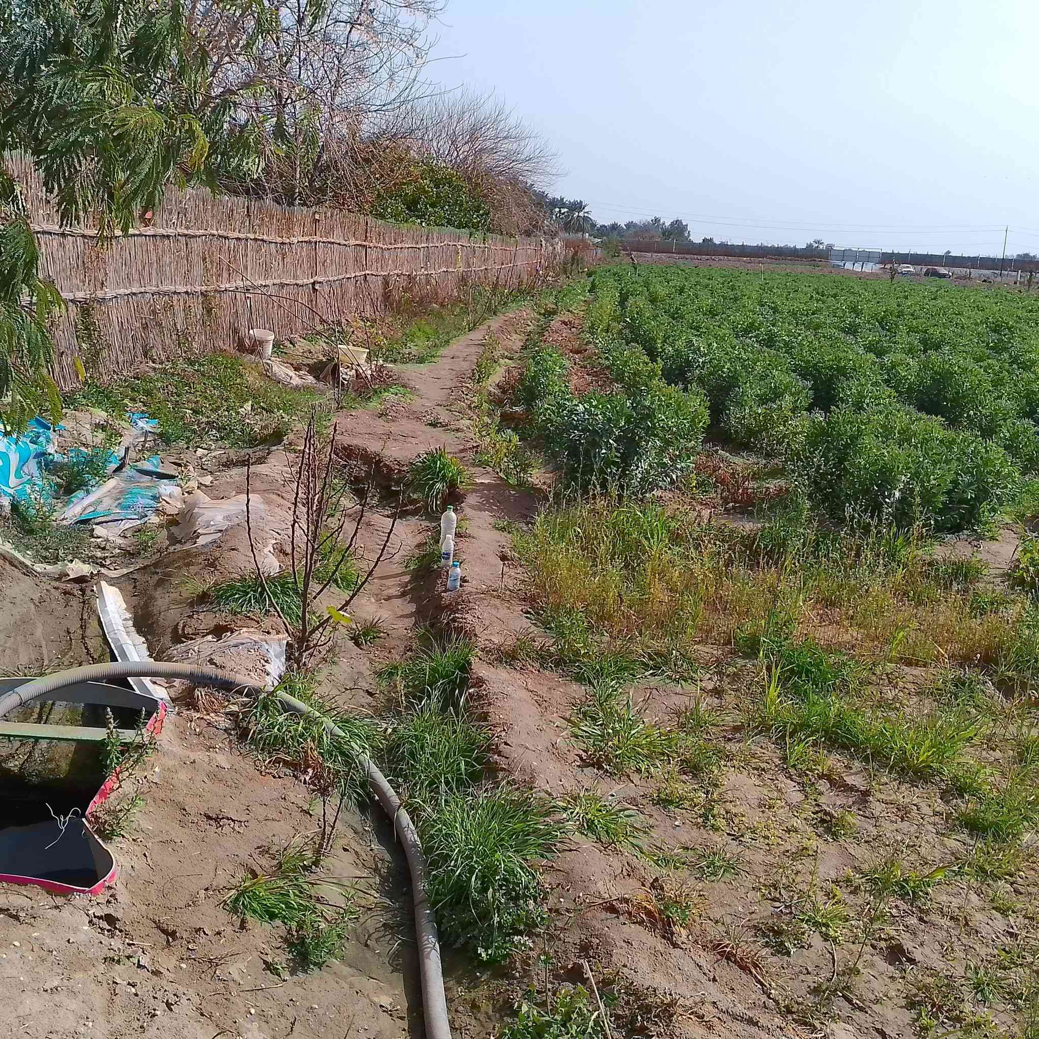 السلام عليكم أرض طابو سند 25شرط التحويل شاطيه المساحه 4دوانم مسيجه الوجه 45ونزال230 موقعها العزيزيه منطقة الدير  الشارع التبليط صدرها على التبليط ونهايتها الشط يعني ترهم سياحه وكلشي يعجبك بيها يصير موقع ممتاز يتوفر قربها مستوصف ومدارس واسالة ماء يعني كاملة الخدمات ***********
