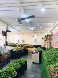 علوه • النافوره