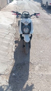 سكنس جبلي • بوشه ٥٥ • رياضي