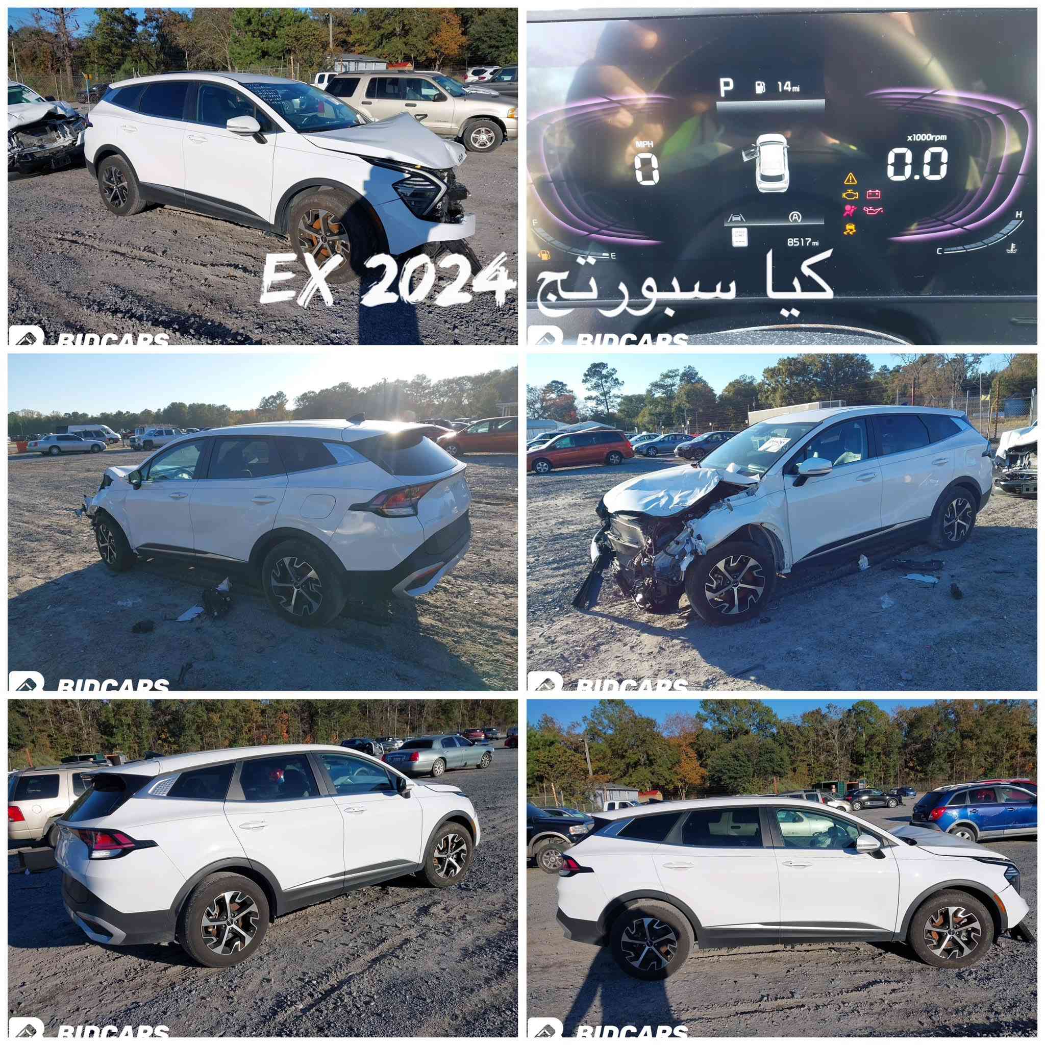 السيارات حاليا بالعقبه 

تكدر تدخله على كتاب الشهداء 

🔴 هيونداي توسان لمتد 2025 ابيض 
🔴 كيا سبورتج 2025 اكس لاين 
🔴 كيا سبورتج 2024 EX 
🔴 هيونداي توسان ماروني 2025 زيرو 
🔴 هيونداي توسان ابيض 2025 فول مواصفات زيرو 
🔴 هيونداي توسان ابيض 2025 

🚘🚘🚘🚘🚘🚘🚘

 
🔴تكدرون تشوفون كل السيارات المتوفرة مع التفاصيل والصور مباشرة من الموقع، وتعرفون الأسعار بكل سهوله

🔗 رابط الموقع: [https://al-fadil-show-car.web.app/]

 📞 الاستفسارات العامة:
***********

🏢 مقر الشركة – بابل / الحلة
حي الإمام علي – الشارع الرئيسي
مقابل شارع الكابينات
للتواصل: ***********

🚗 معرض السيارات – بابل
شارع 60 – قرب مدخل شارع ٣٠
للتواصل: ***********

لتترددون تراسلونا بأي وقت للاستفسار أو طلب سيارة معينة

.  
#استيراد_سيارات #أمريكا #سيارات_أمريكا
