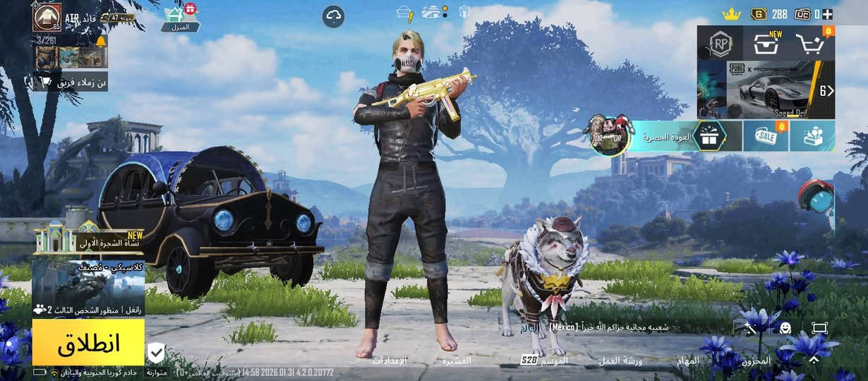 *********** واتساب
30 بمجال
