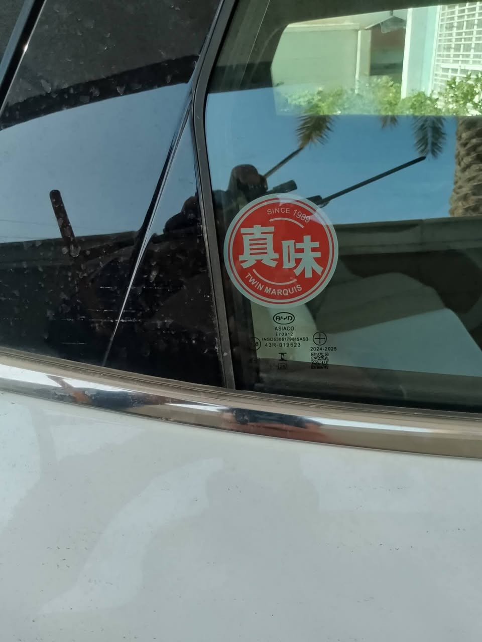 جميع نواع زجاج اليسارات القديم ولحديث نقل وشدداخل بغداد مجانن
وبنسب السعار رقم الهاتف ***********
