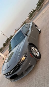 جاجر • ٢٠١٧ • ذي قار