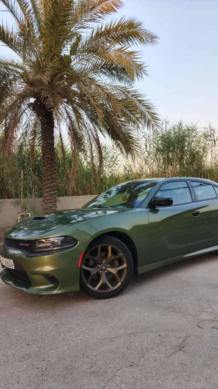 السلام عليكم اخوان جارجر للبيع موديل ١٩جيتي رقم اربيل بيها جاملغ خلفي كلير فقط والباقي كفاله دينار متصرف عليها مكانها موصل سعرها (٢٣٠)قفل(***********) (***********)
