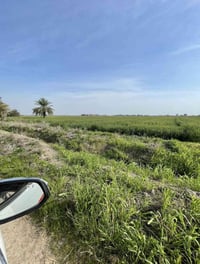 للبيع – أرض زراعية قابلة للتحويل سكني او مزرعه او شاليه / العنوان التا...