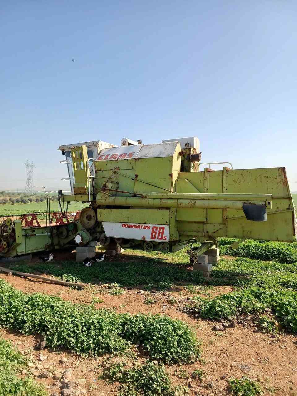 اسلام عليكم حصوده كلاص للبيع جهازه تأيراتها موجود تبريد فقط يحتاج لا غاز حصوده جهازه رقم سنويه رقم قادسيه محرك لا صرف ولا نفغ شرط بدون اخياس كير ٢٠١٣ جكات معملها كامل مكمل مكاني موصل للبيع او ماروس با كاروبه التواصل هاذا الرقم ***********
