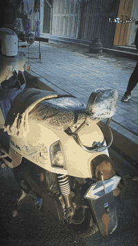 سلام عليكم 
دراجه بوليس جديده ما صالها شهر من طالع من معرض وصل معرض بيها 
دراجه نعومه ملاحه دراجه ما يراد احجي بل واقع احلى من صور 
شراي يراسلني او يتصل عل رقم ***********
والمايعرف أسعارهن لا يراسلني
