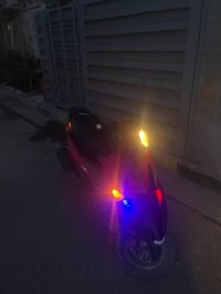 ثعلب • جاهزه • بغداد