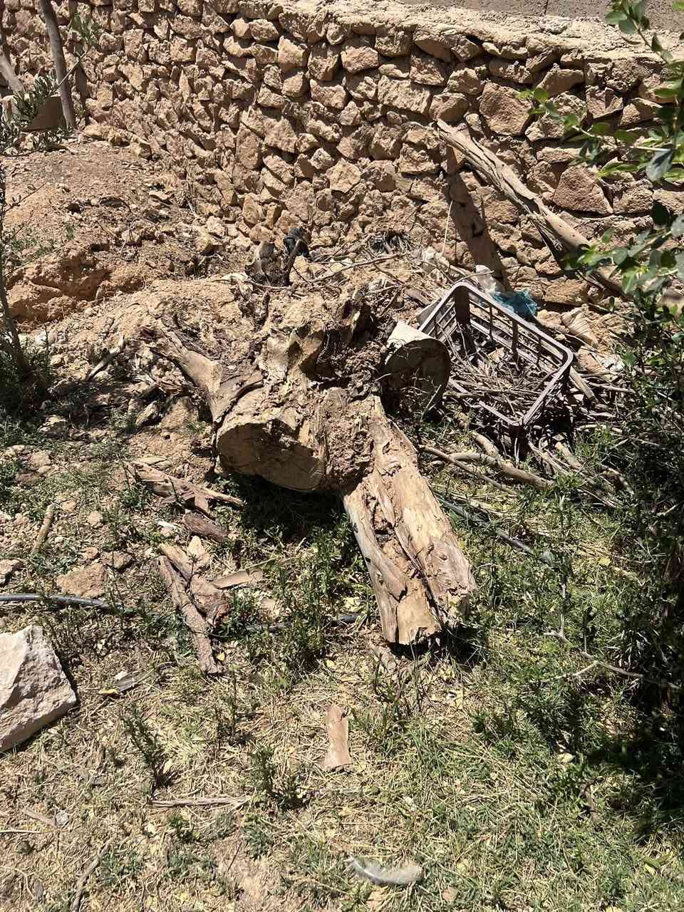 متوفر خشب حطب تقريبا حمل كية 
مال شجر زيتون وقلنطوز ومشمش
مثل ما موضح بالصور المكان حقلانية


**إذا كنت صاحب هذا الإعلان وتريد حذفه لأي سبب، رجاءا أرسل رسالة إلى الدعم الفني**