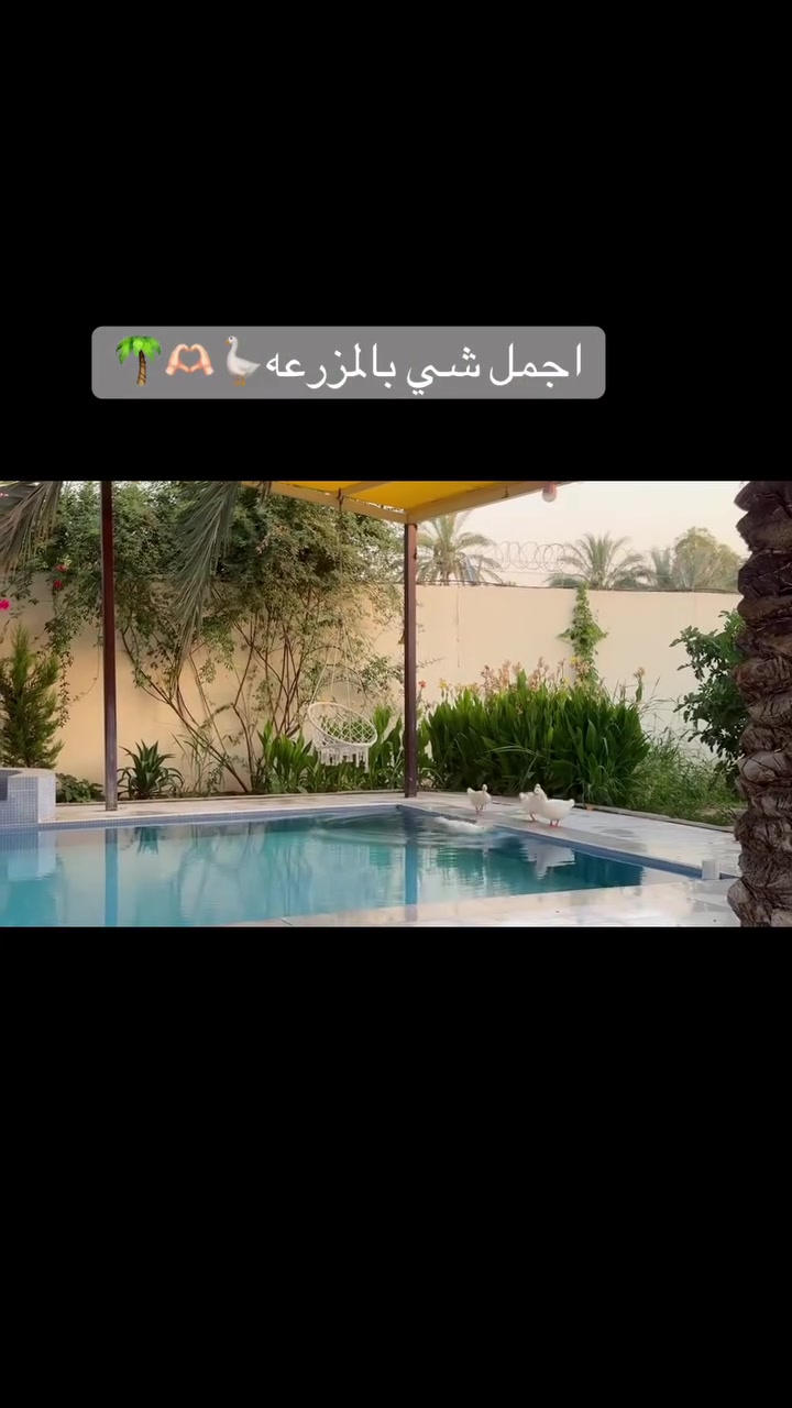 مزرعة الرضا 🌴في بلد
كلش ممتعه ومسليه وشي مختلف 🫶🏻
رقم الحجز***********
