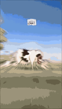 ملك تجاري • ٥٦٠م • واجهة ٢٠م