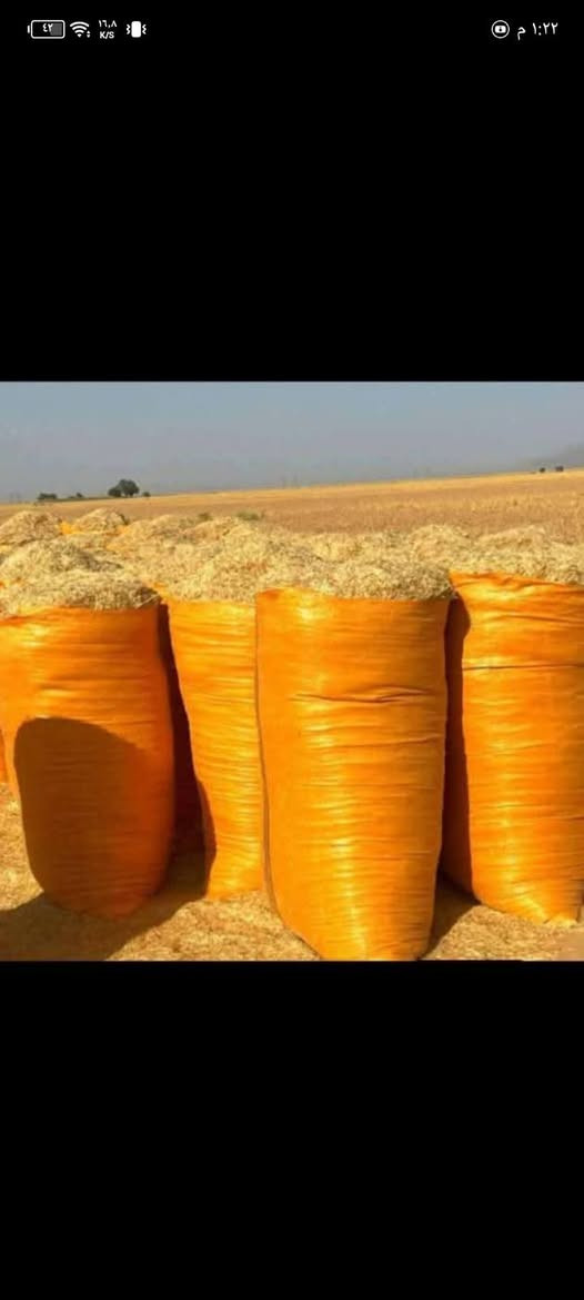 يوجد لدينا تبن ابيض للبيع جميع انواع القياسات توصيل الكل من محافظات حله بابل ديوانيه  شوملي طويريج القاسم كربلاء مسيب نجف محاويل اليوسفيه نتصل رقم ***********
