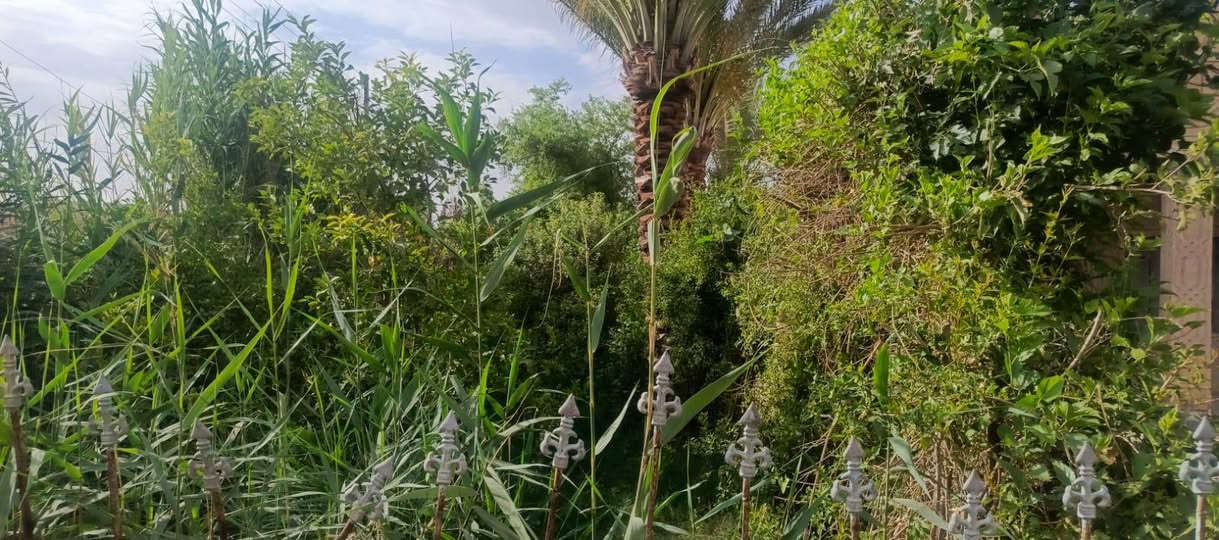 سلام عليكم / بيت وبستان ثلاثه دوانم طابو زراعيالبيع الموقع قلعه سكر حي العسكري  الهاتف  اثير *********** اسيا ***********
