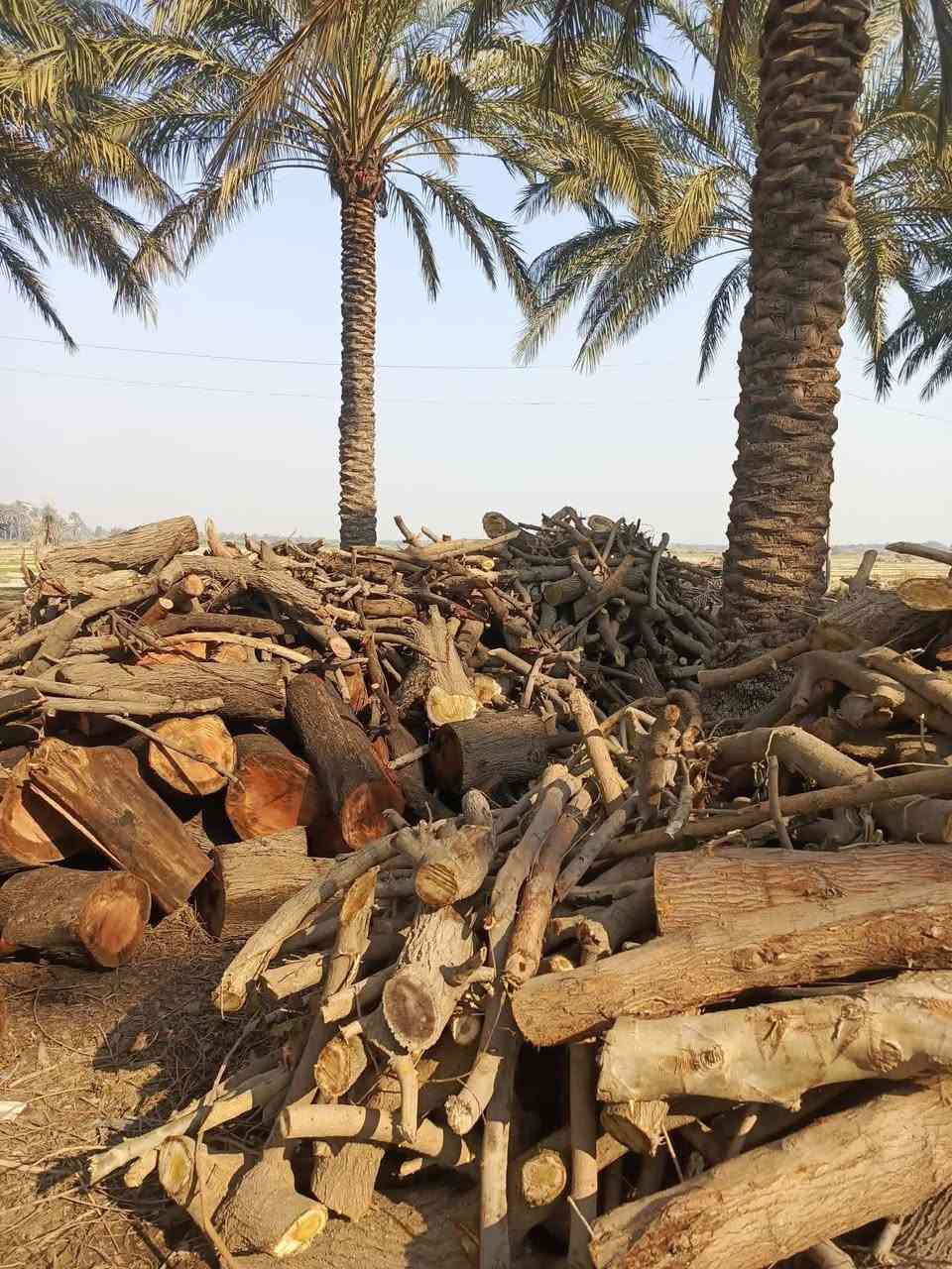 يا الله موجود حطب شوي لاسماك
حمل كيات مكاني ميسان ويوجو توصيل حسب 
التفاق ‏‪***********‬‏
