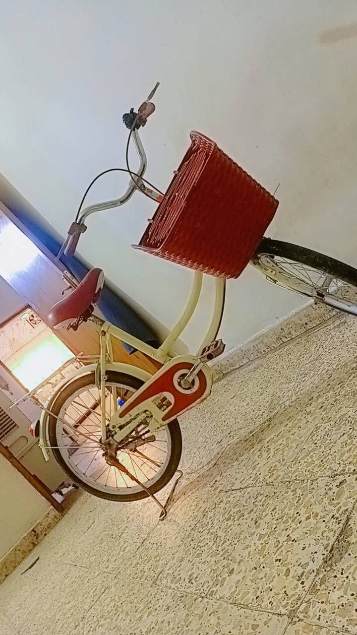 بايسكل حجم ٢٠ باله اوربي ماركه معروفه قوي لون مميز سعر ٧٥ قبل اشهر اخذته ب١٠٠ من الصدريه مكانه الدوره ***********
