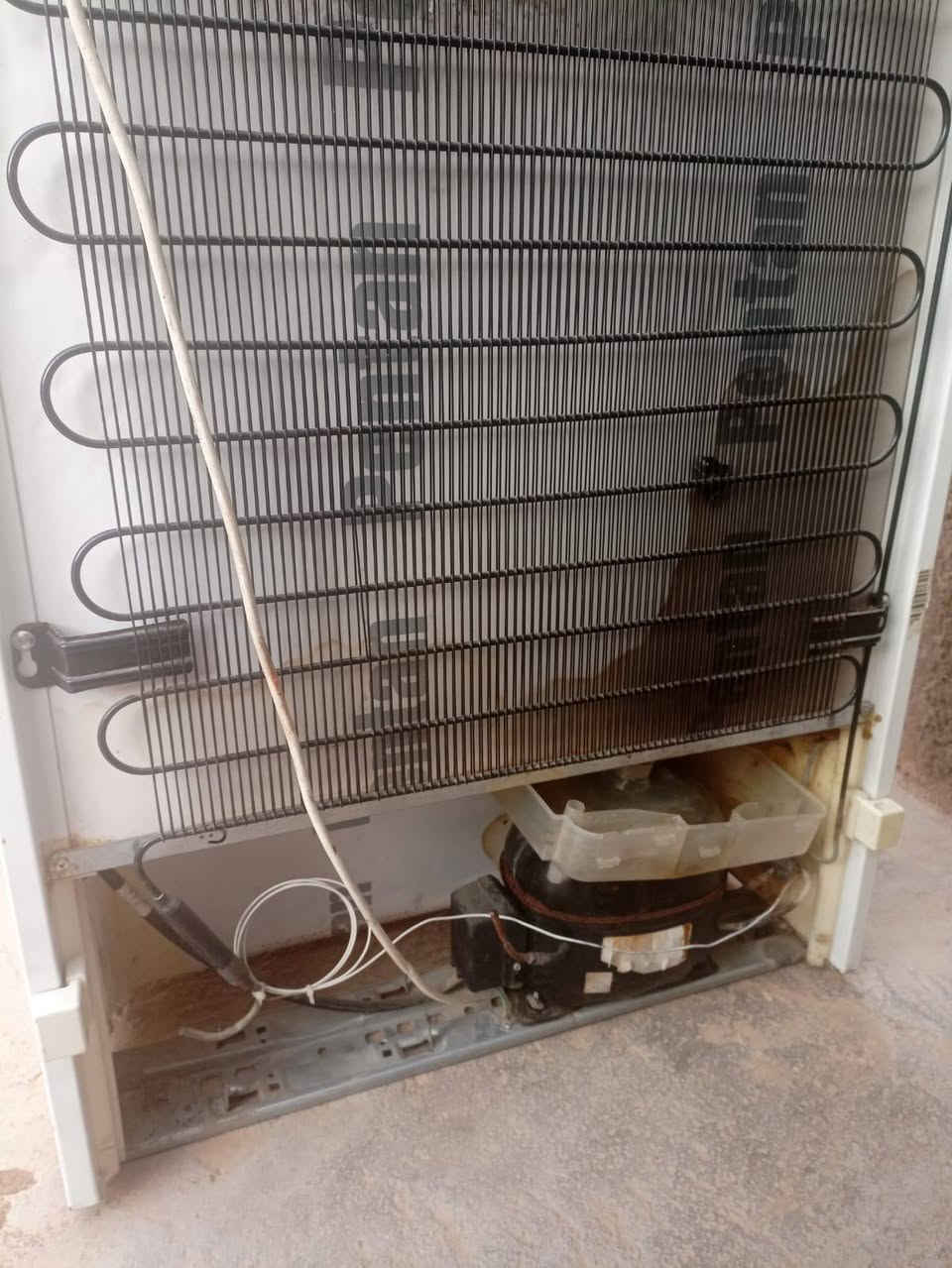 بسم الله توكلنة على الله متاح ثلاجة 24 قدم عملاقة الصنع الماني غاز وماطور بلادي كفالة على كل عيب تسحب امبير وربع على الكهرباء نضافة 90/بلمية السعر 325وبيها مجال المكان القائم والشراي يتفضل ***********
