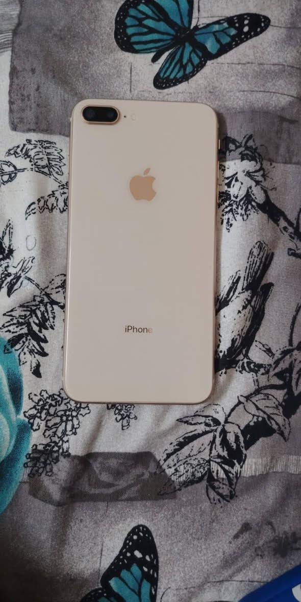 للبيع 8 ذاكره 64 بطاريه 76 مبدل شاشه بصمه شغاله صوط صافي قيم واخذ


**إذا كنت صاحب هذا الإعلان وتريد حذفه لأي سبب، رجاءا أرسل رسالة إلى الدعم الفني**