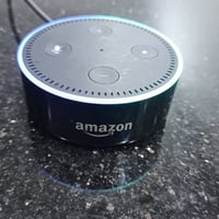 اليسكا امزون • مستعملة • بدون ملحقات