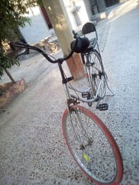 بايسكل • حجم ٢٦ • التاجي