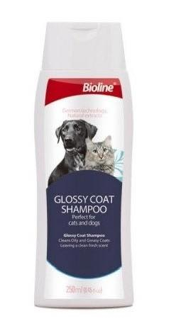 بكج ب١٠ الاف فقط على اول تم بسرعه 🫶🙏
لتر بوكس مفتوح وياه مكرافه 
حبل وصدريه قوز قزح 
شامبو  للقطط والكلاب برائحه منعشه ♥️
إشارة الأصدقاء


**إذا كنت صاحب هذا الإعلان وتريد حذفه لأي سبب، رجاءا أرسل رسالة إلى الدعم الفني**