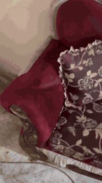 السلام عليكم عندي قنفات ٣ اكبار وحده وسط وثنين زغار وياهن طلات عدد ٥ وحده كبيره و٤ زغار وزوليه جديده للبيع الزوليه مامصوريهن بس القنفات رقم ***********السعر مناسب
