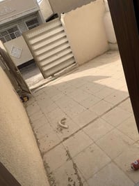 بداية شارع الزعيم • بداية المكاسب • ١٠٠م