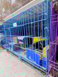 قفص قطط كلاب • للطيور • ناصرية