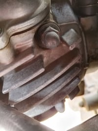 دراجة جبلية • معدّلة • بابل الاسكندريه