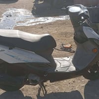 نجف • كرتون ٥٠٠ • ابو شري