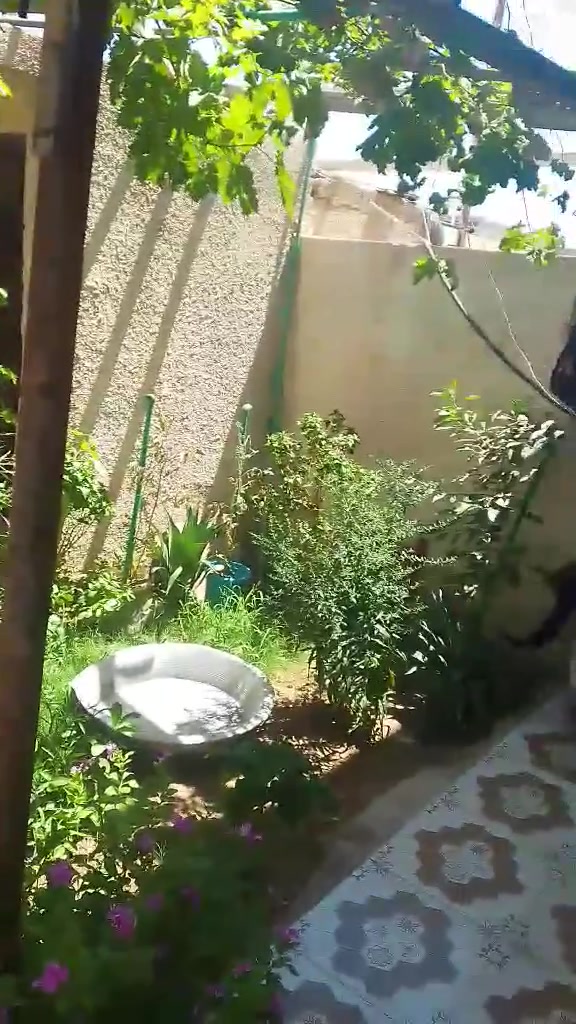 سلام عليكم 
متاح للبيع دار سكني في حي الفارس مساحته ١٣٠ متر واجهة ٦اونص *20 شارعه ١٠ عالي عن الشارع تبليط ارصفة مجاري كامل كما مبين بالفديوا يحتوي على غرفتين فوك غرفة او جوة غرفة كامل من كلشي للاستفسار الاتصال على الارقام التاليه ارقامنة خدمة موجود واتساب على الرقم الاثير 
***********
***********
خالد المشهداني مكتب الشروق لعقارات الطارمية 
اهلا وسهلا بكم
