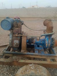 بتر • شغال • حويجه