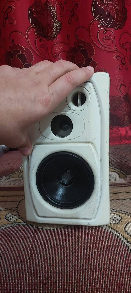 زوج سماعات جداريه تتعلك بالحايط اعتقد ٦٠ واط ممكتوب عليهه نظافه ٧٥ %
السعر 
٦٠
***********
