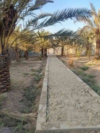 ابو الخصيب محيله • ١٠٧٥م • طابو زراعي